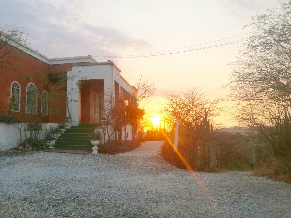 Jardin Etnobotanico Ludovica Bed & Breakfast