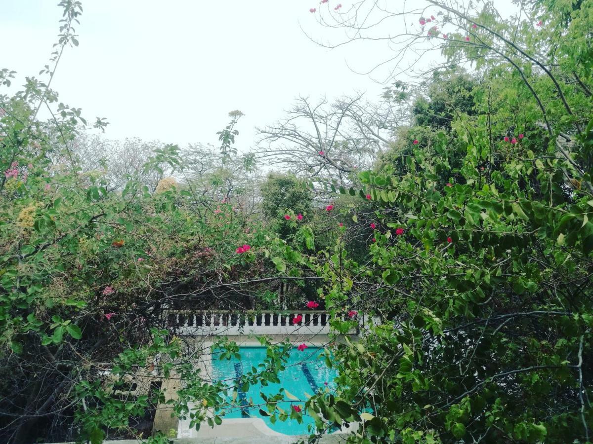 Jardin Etnobotanico Ludovica Santa Marta (Magdalena)