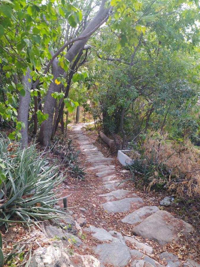 Jardin Etnobotanico Ludovica * Santa Marta (Magdalena)